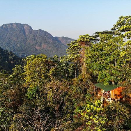 Tree Houses By Jungle River Ginigathena Экстерьер фото