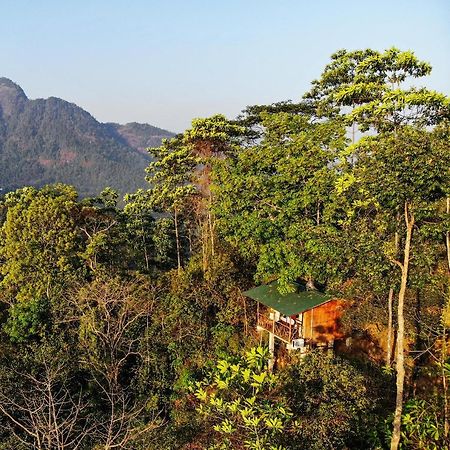 Tree Houses By Jungle River Ginigathena Экстерьер фото