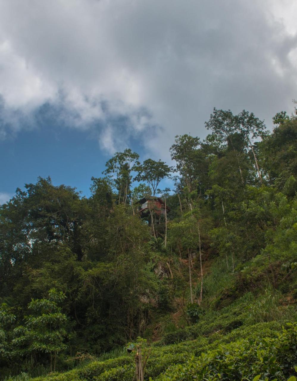 Tree Houses By Jungle River Ginigathena Экстерьер фото