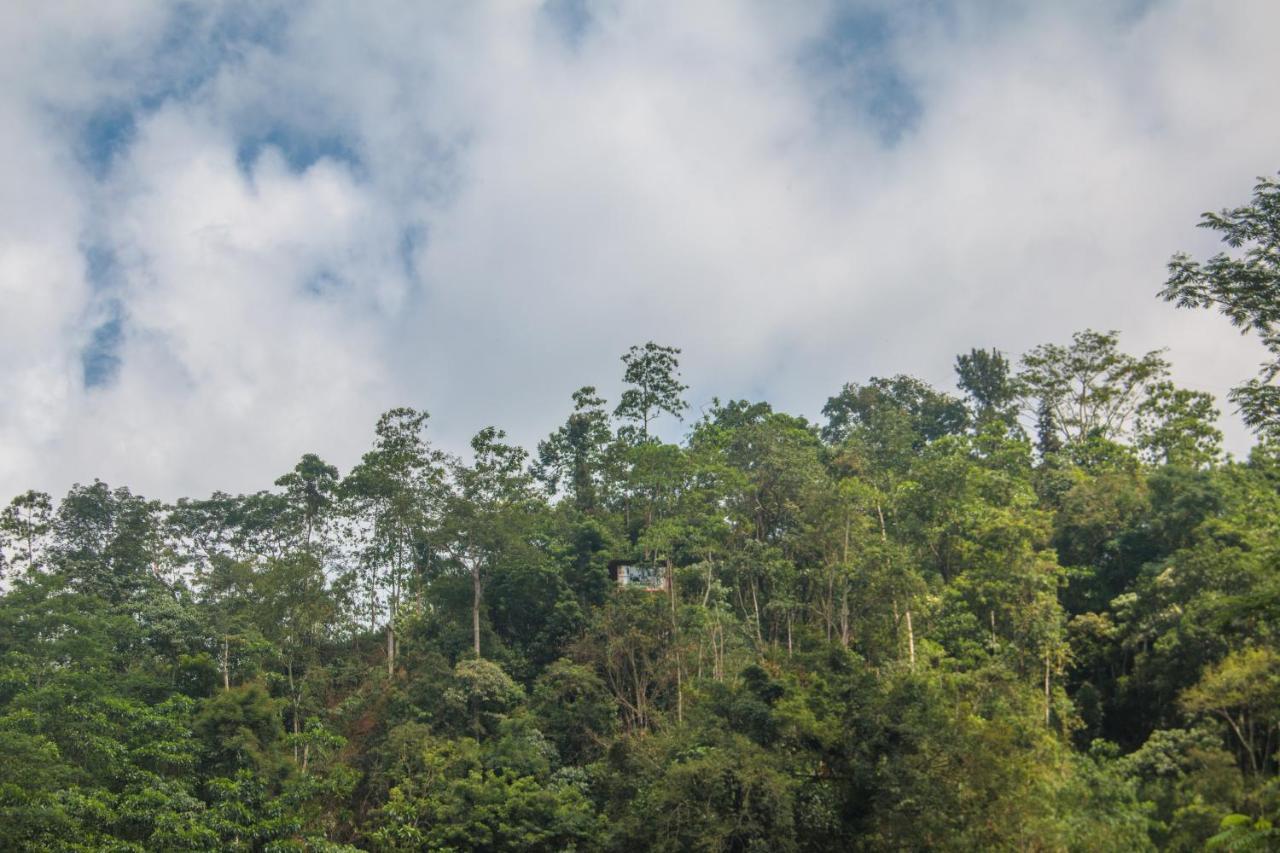 Tree Houses By Jungle River Ginigathena Экстерьер фото