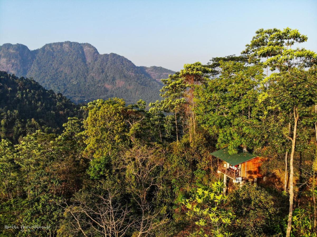 Tree Houses By Jungle River Ginigathena Экстерьер фото