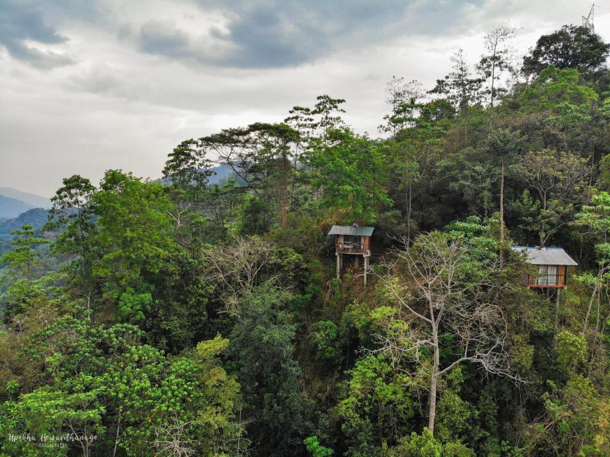 Tree Houses By Jungle River Ginigathena Экстерьер фото