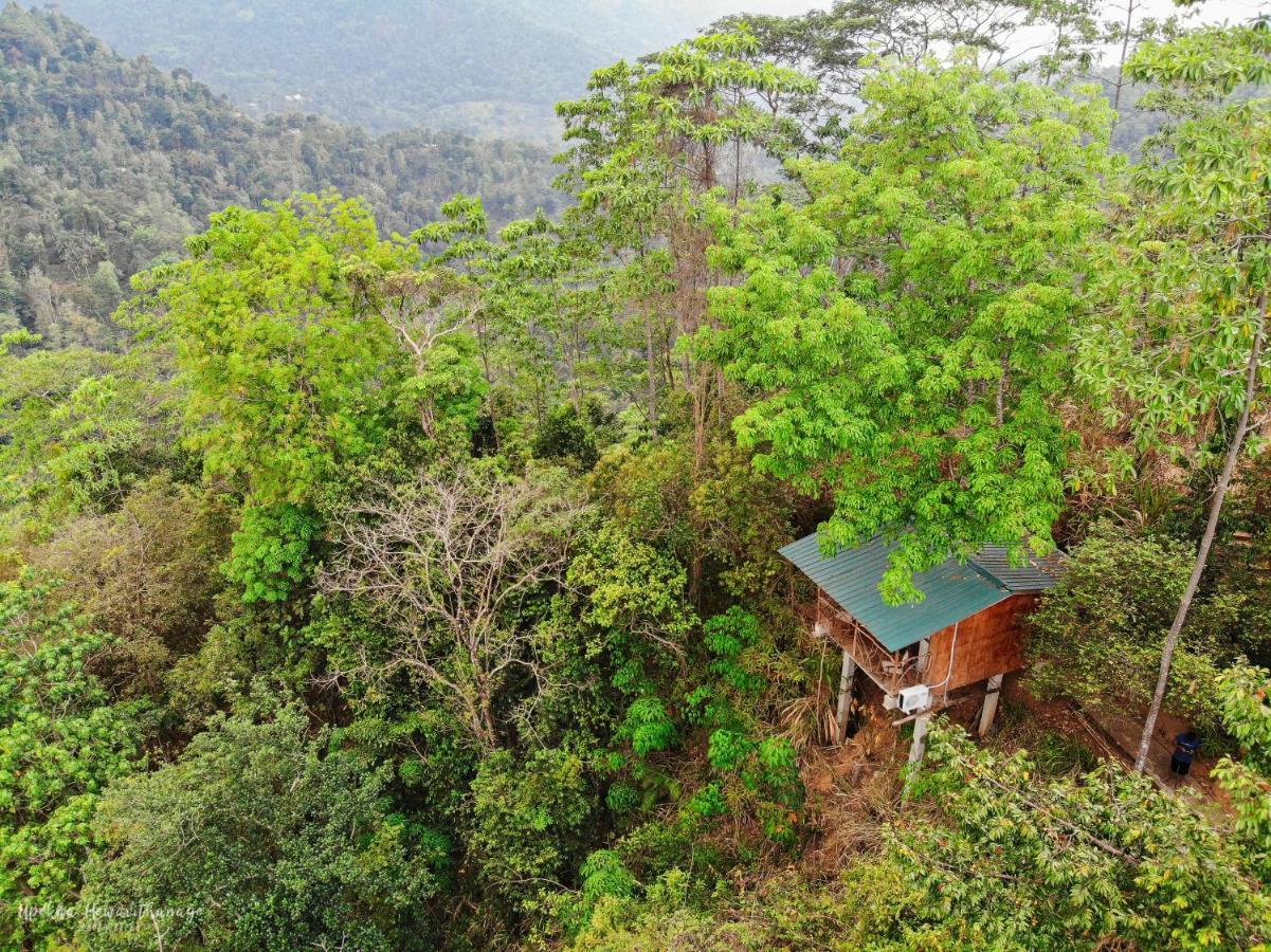 Tree Houses By Jungle River Ginigathena Экстерьер фото