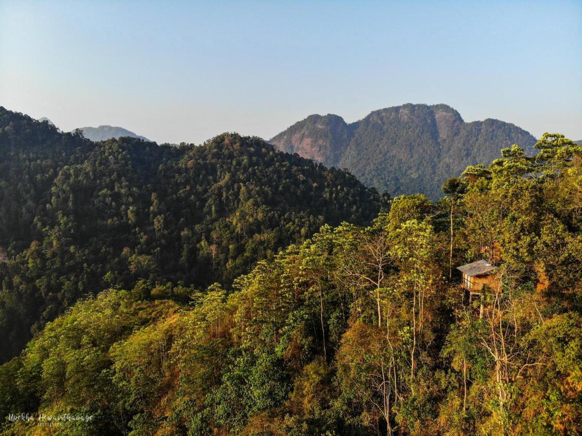 Tree Houses By Jungle River Ginigathena Экстерьер фото