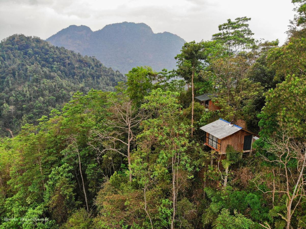 Tree Houses By Jungle River Ginigathena Экстерьер фото