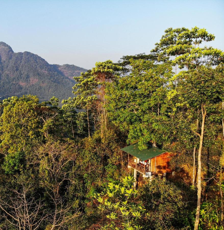 Tree Houses By Jungle River Ginigathena Экстерьер фото